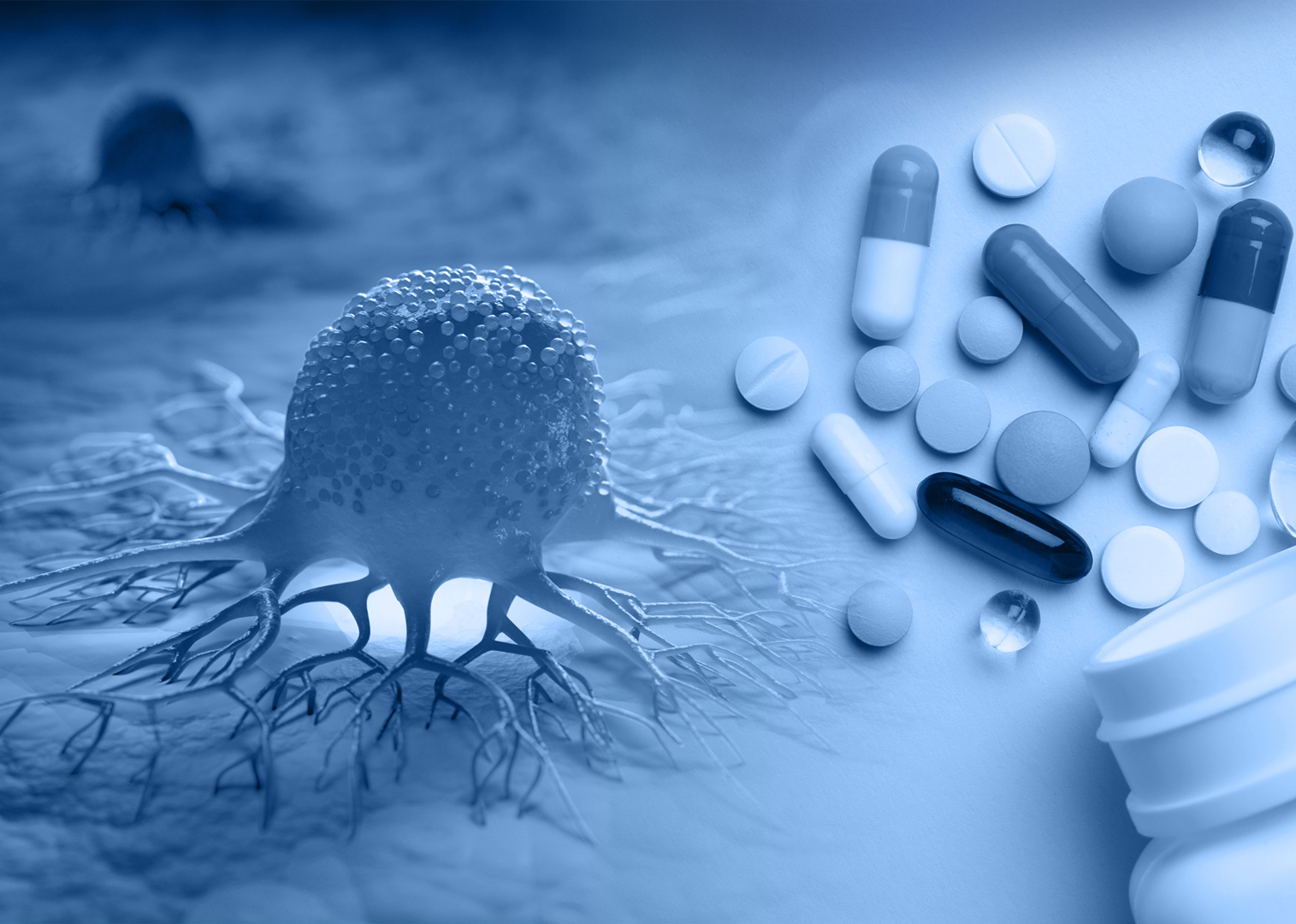 Prestwick Chemical Libraries