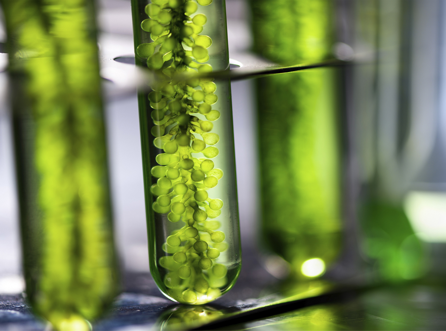 Prestwick Chemical Libraries