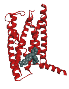 GPCR